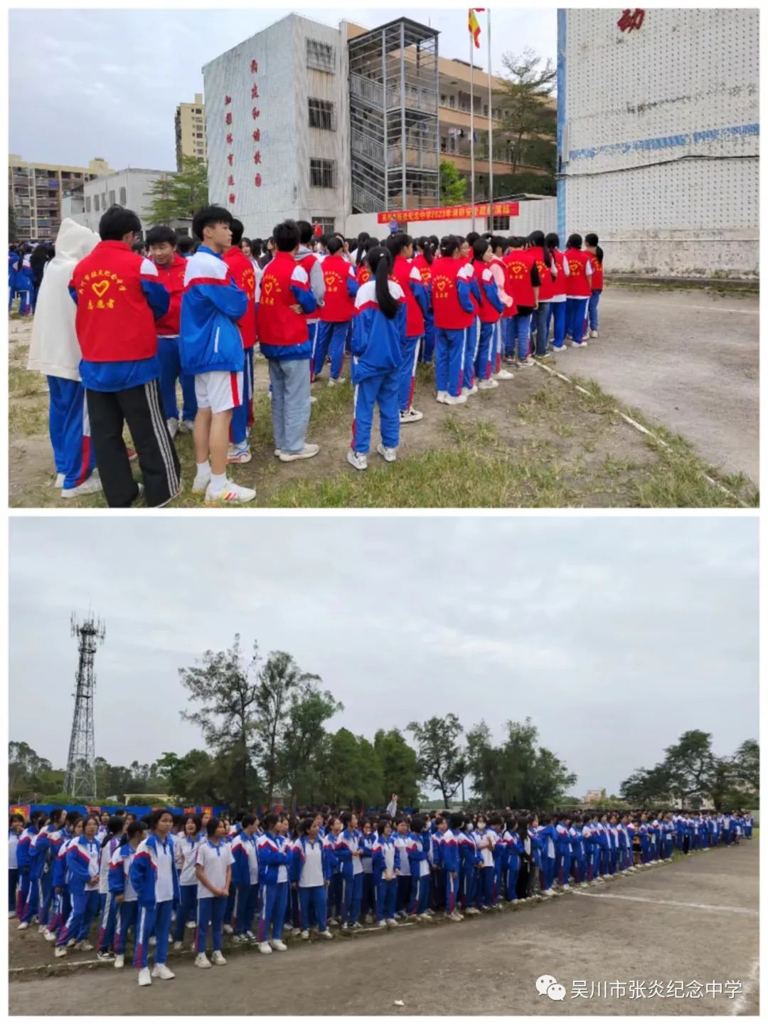 1747229373757875.jpg 3.jpg